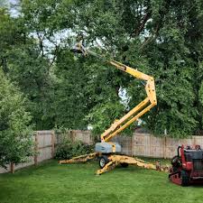 Best Tree Preservation Services  in Miles, TX