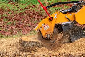 Best Fruit Tree Pruning  in Miles, TX